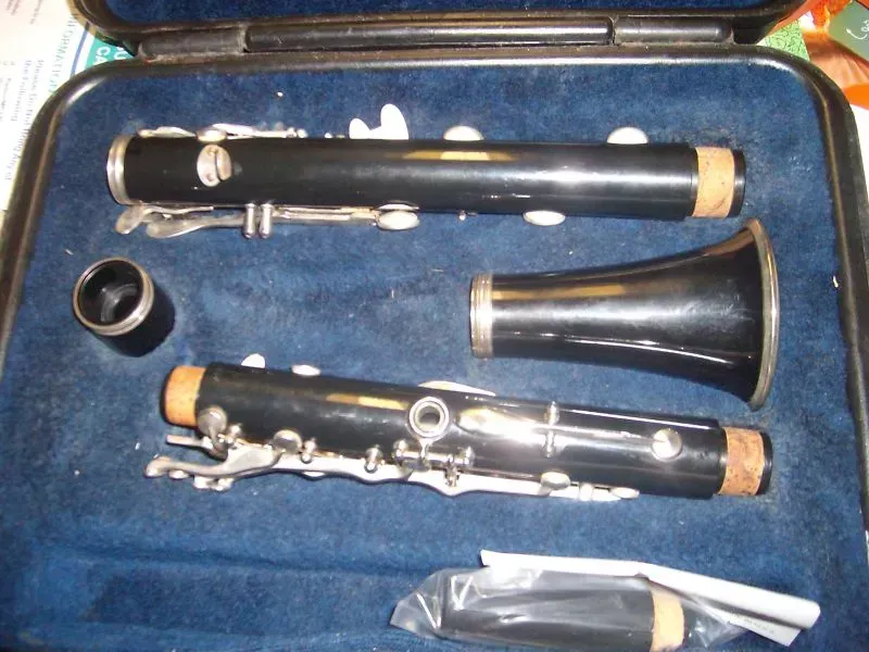 Clarinet Selmer Plastic Bb