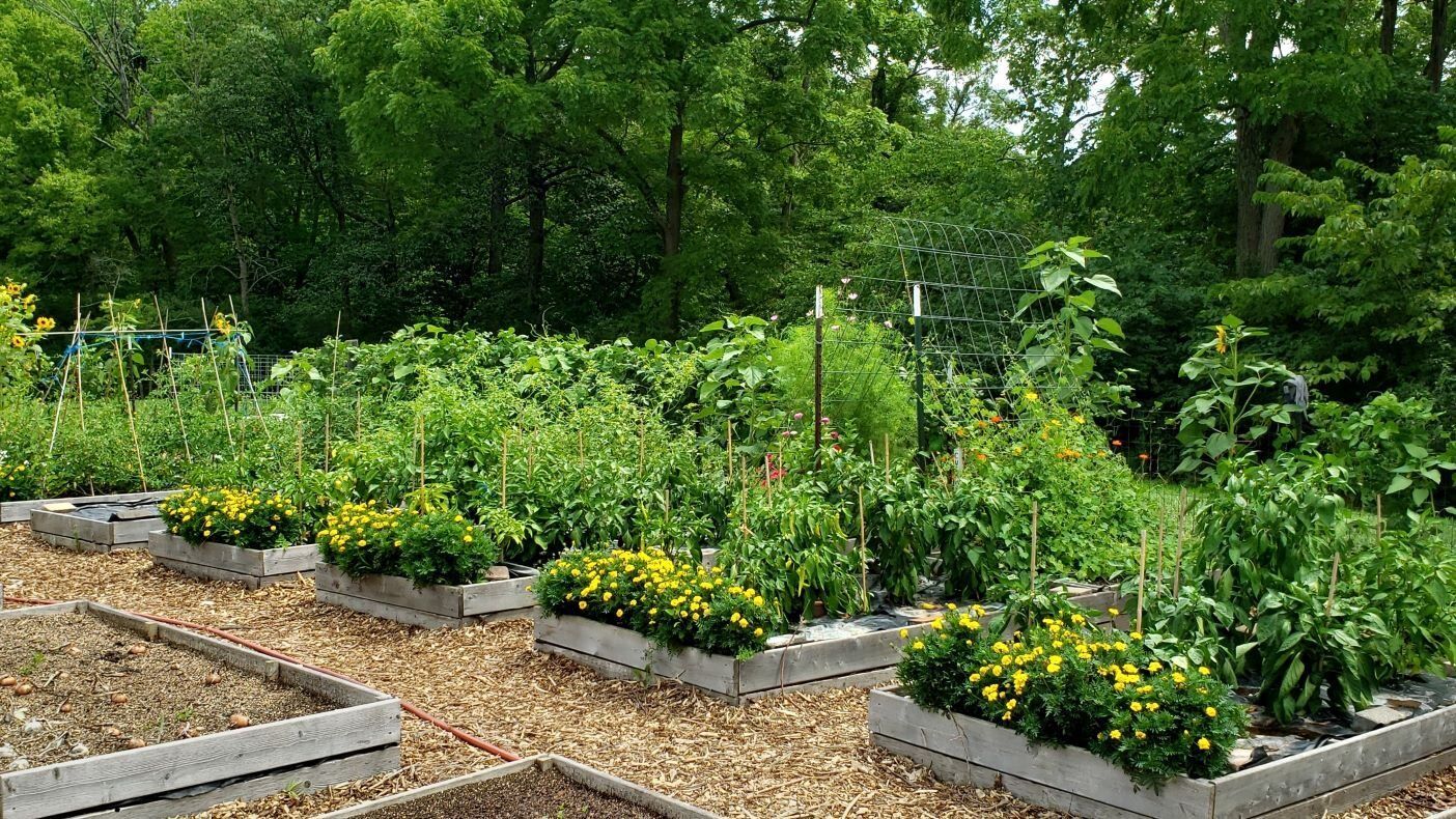 Farm raised beds