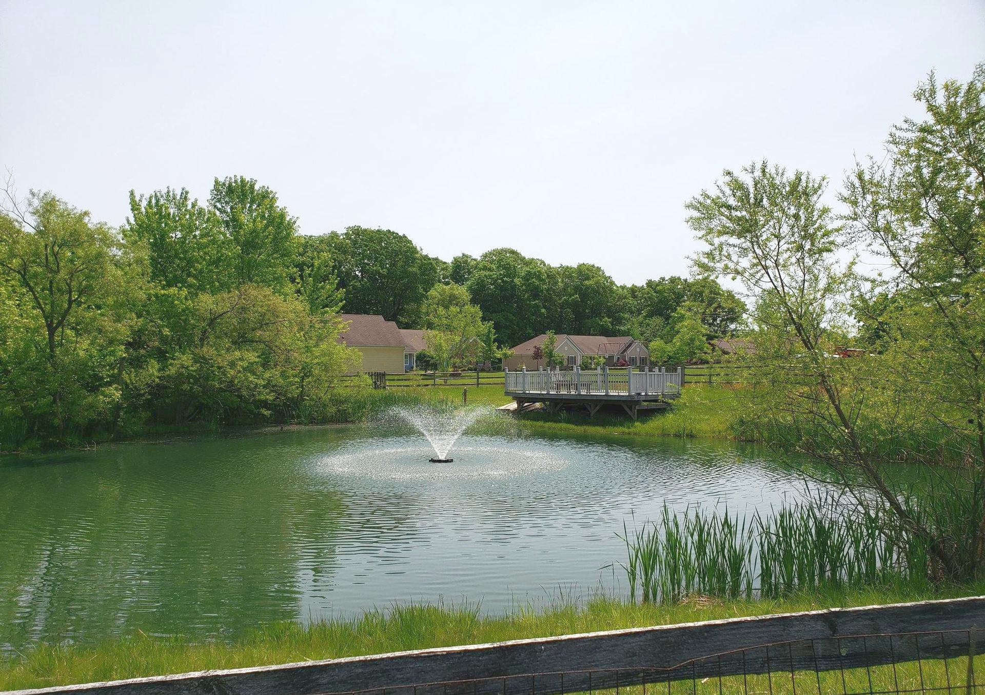 pond at residences
