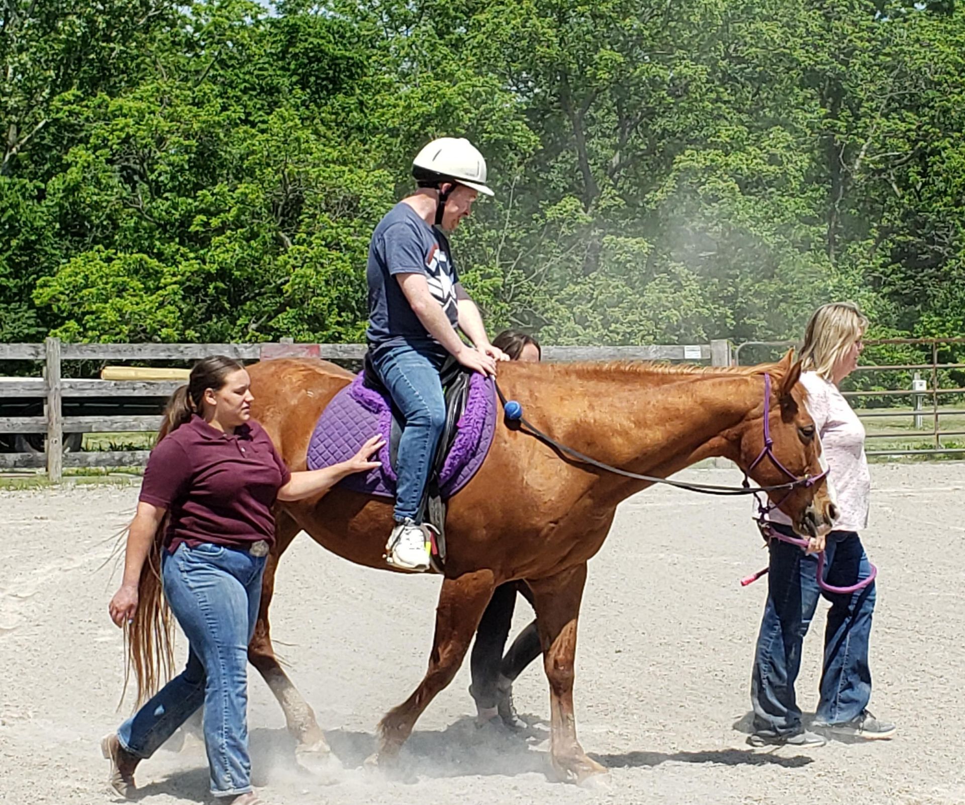 resident riding horse