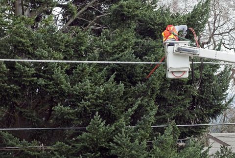 Man on a Lift Cutting Tree Limbs — Arnold, MO — DeClue & Sons Tree Care, Inc.