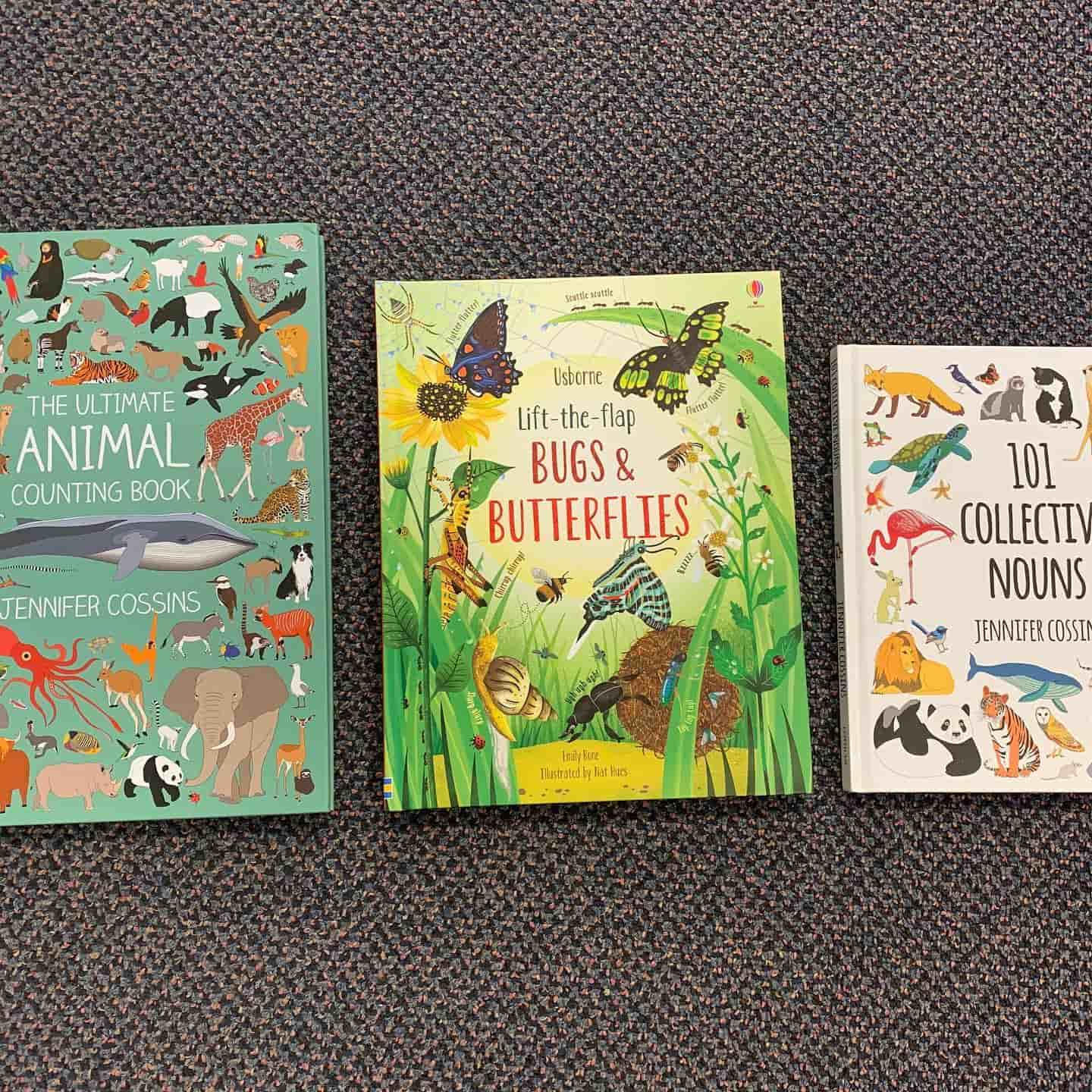 Three Learning Book About Animals And Insects — Books In Central Highlands, QLD