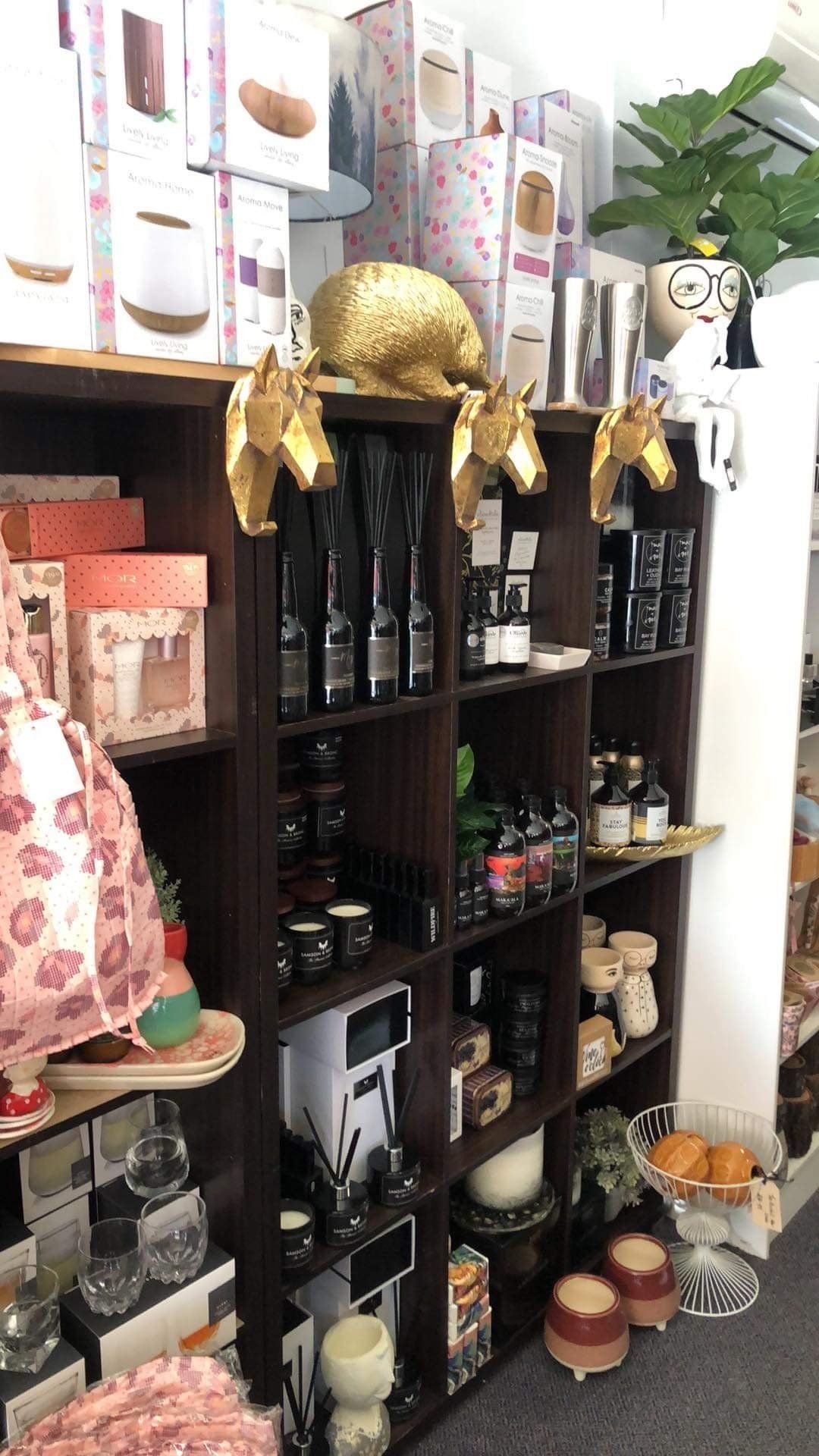 A store filled with shelves filled with lots of items.