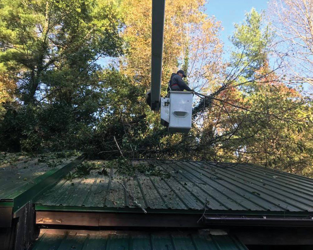 Worker on Bucket Truck Cutting Down Tree — Mills River, N.C. — Holbert’s Tree Service