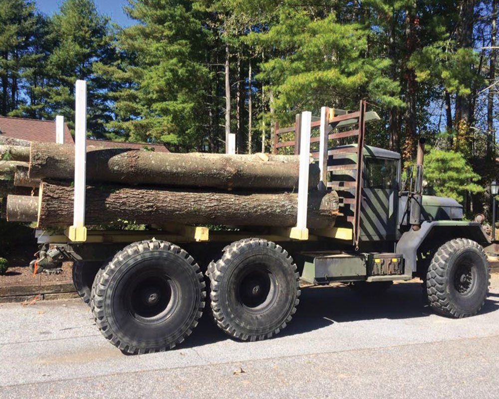 Large Truck Log on Truck — Mills River, N.C. — Holbert’s Tree Service