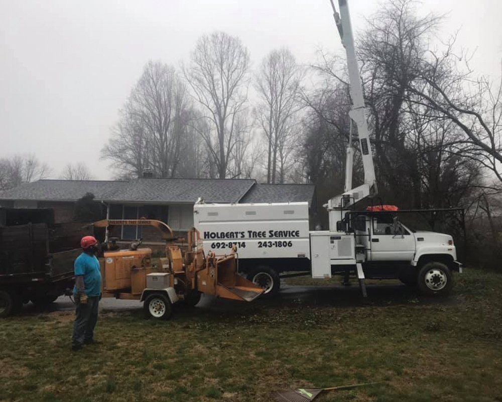 Holbert’s Tree Service White Crane — Mills River, N.C. — Holbert’s Tree Service