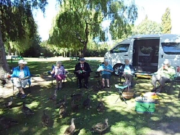 A group of people are sitting in a park surrounded by ducks