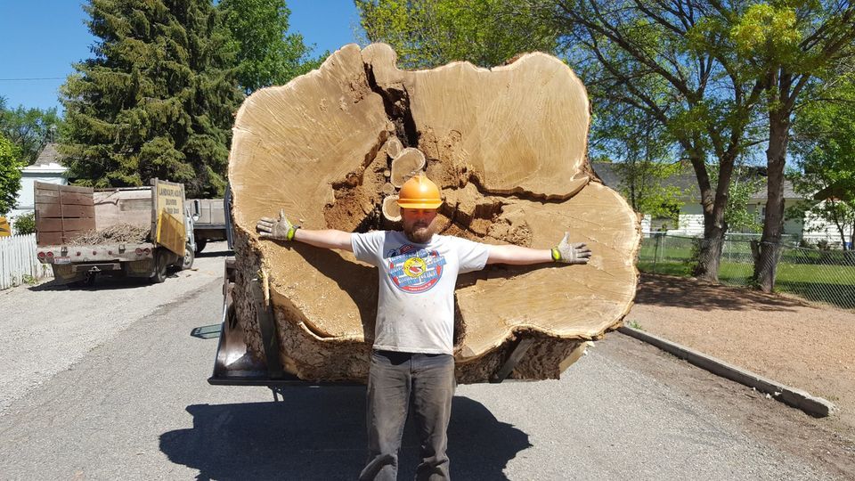 Man With Large Tree — Jerome, ID — 4 Seasons Tree Service