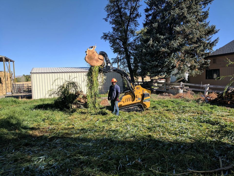 Tree Landscaping Service — Jerome, ID — 4 Seasons Tree Service