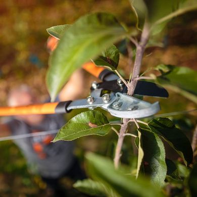 Man Using Large Pruning Shears For Cutting Trees — Jerome, ID — 4 Seasons Tree Service