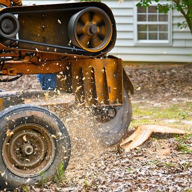 A Stump Grinding Machine Removing A Stump — Jerome, ID — 4 Seasons Tree Service