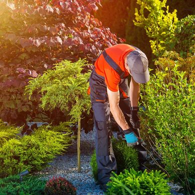 Gardener At Work — Jerome, ID — 4 Seasons Tree Service