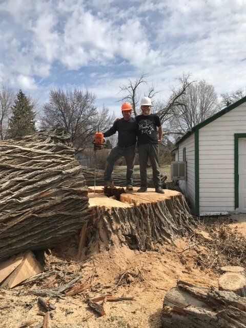 Old Tree Removal — Jerome, ID — 4 Seasons Tree Service