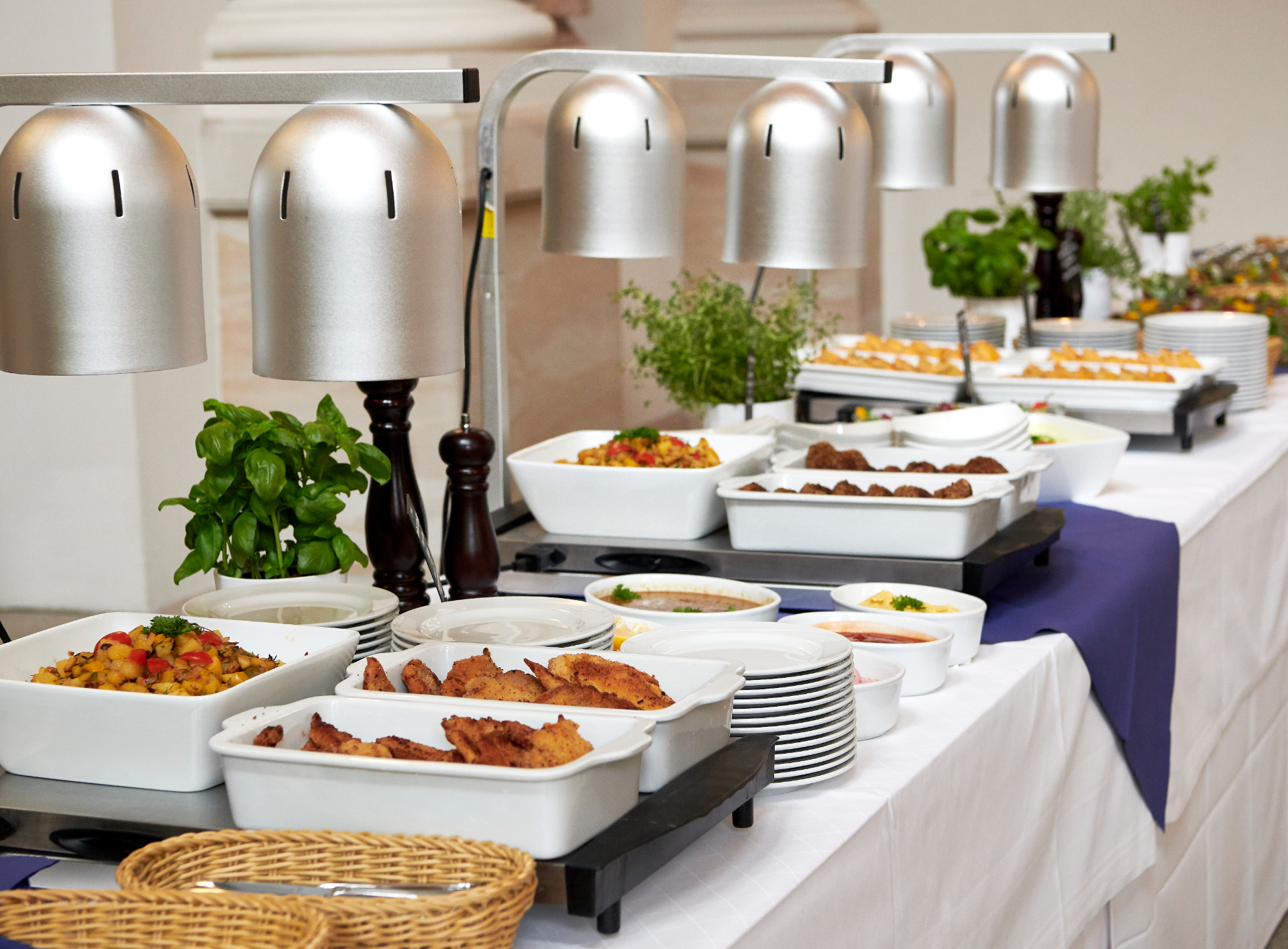 Buffet table with various dishes, under warming lamps, set for an event.