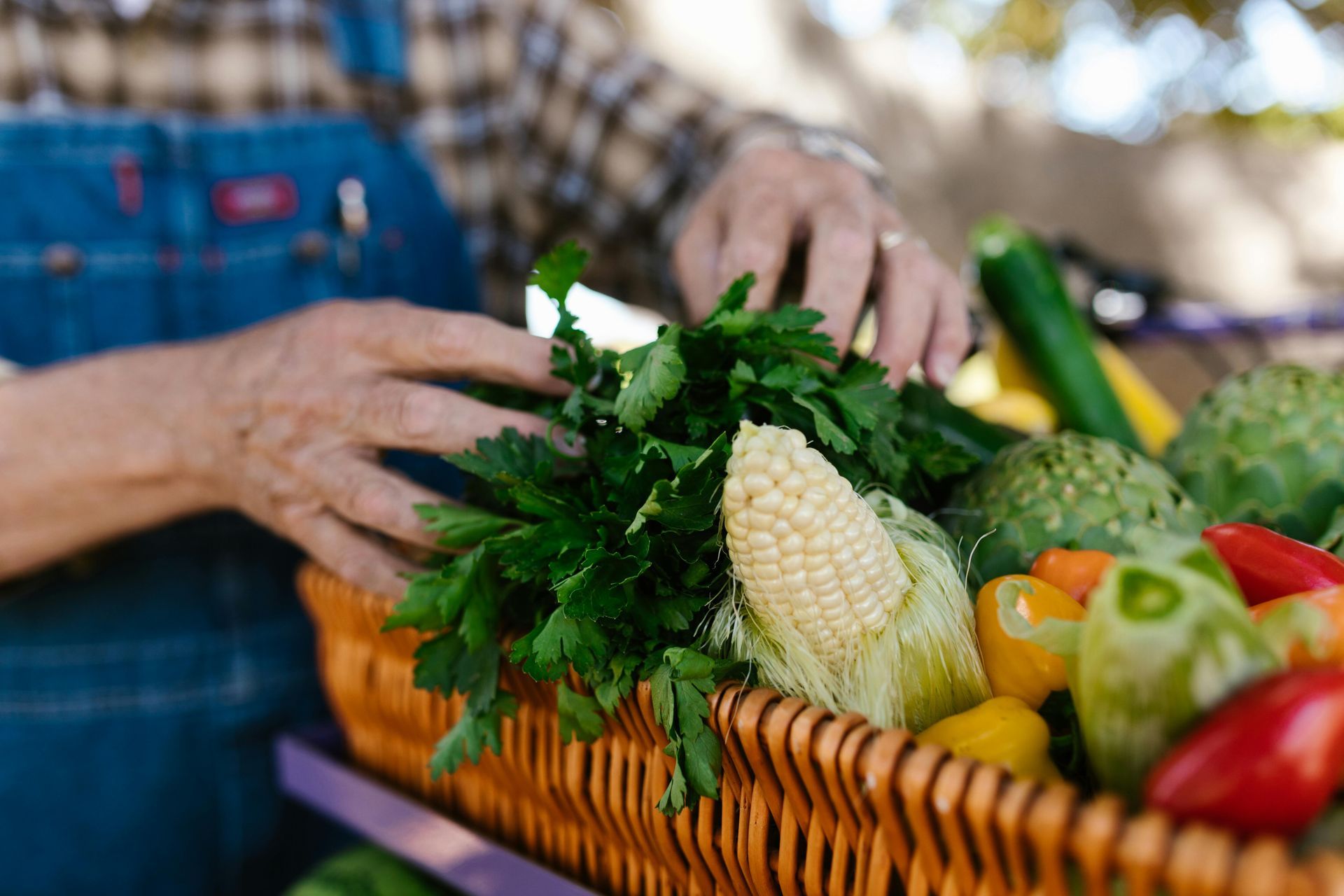 Person holding a basket overflowing with fresh produce, including corn, parsley, peppers, and artichokes.