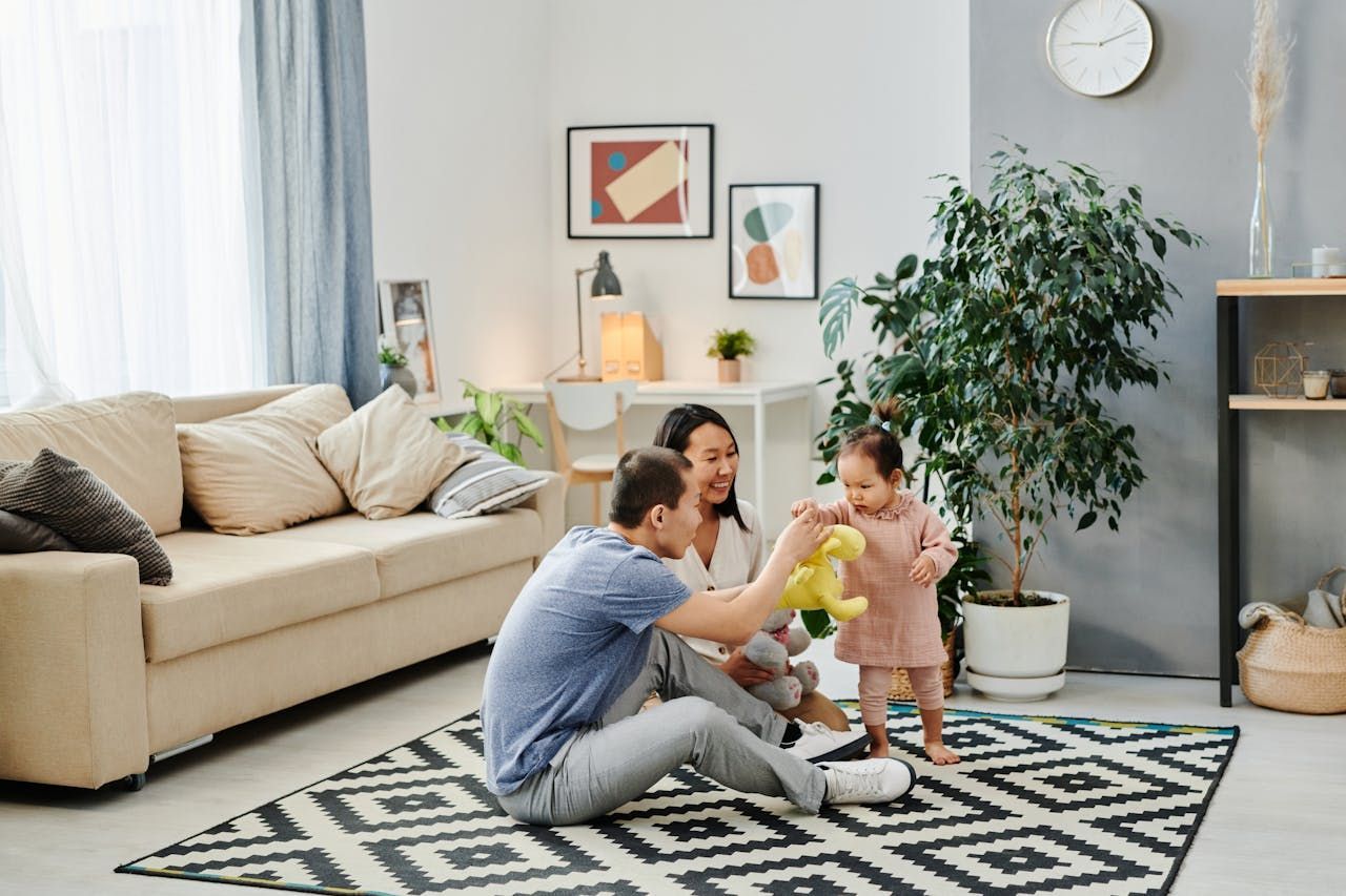 Keeping Carpets Clean