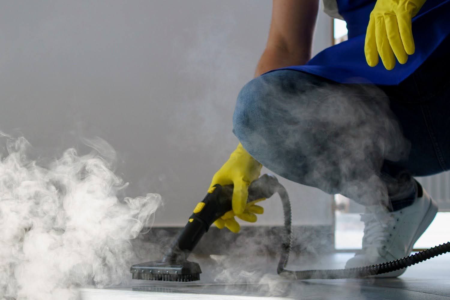 professional carpet cleaning service in Greene County