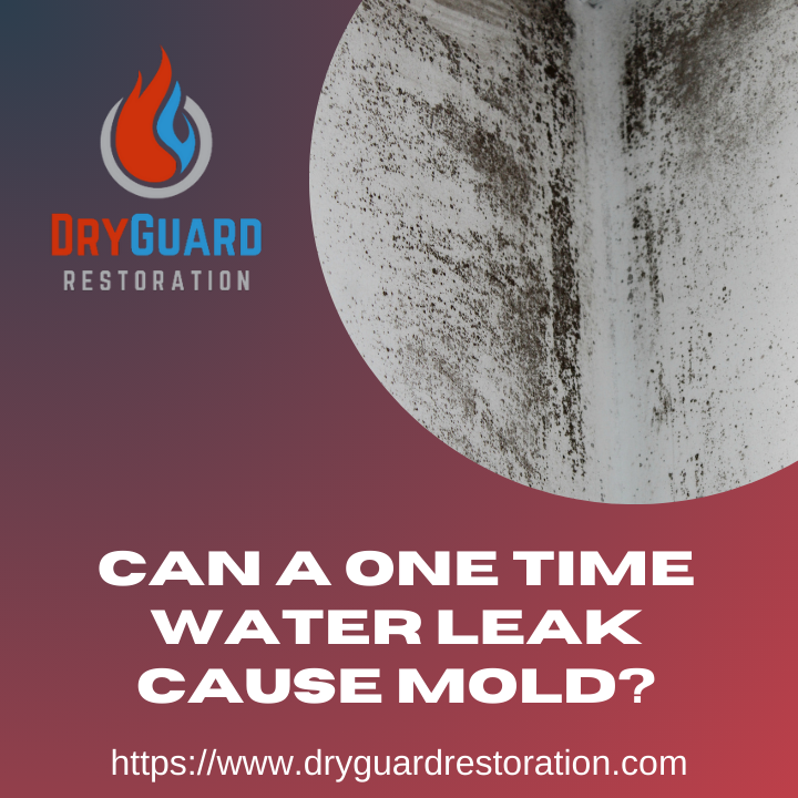 Can a one time water leak cause mold?