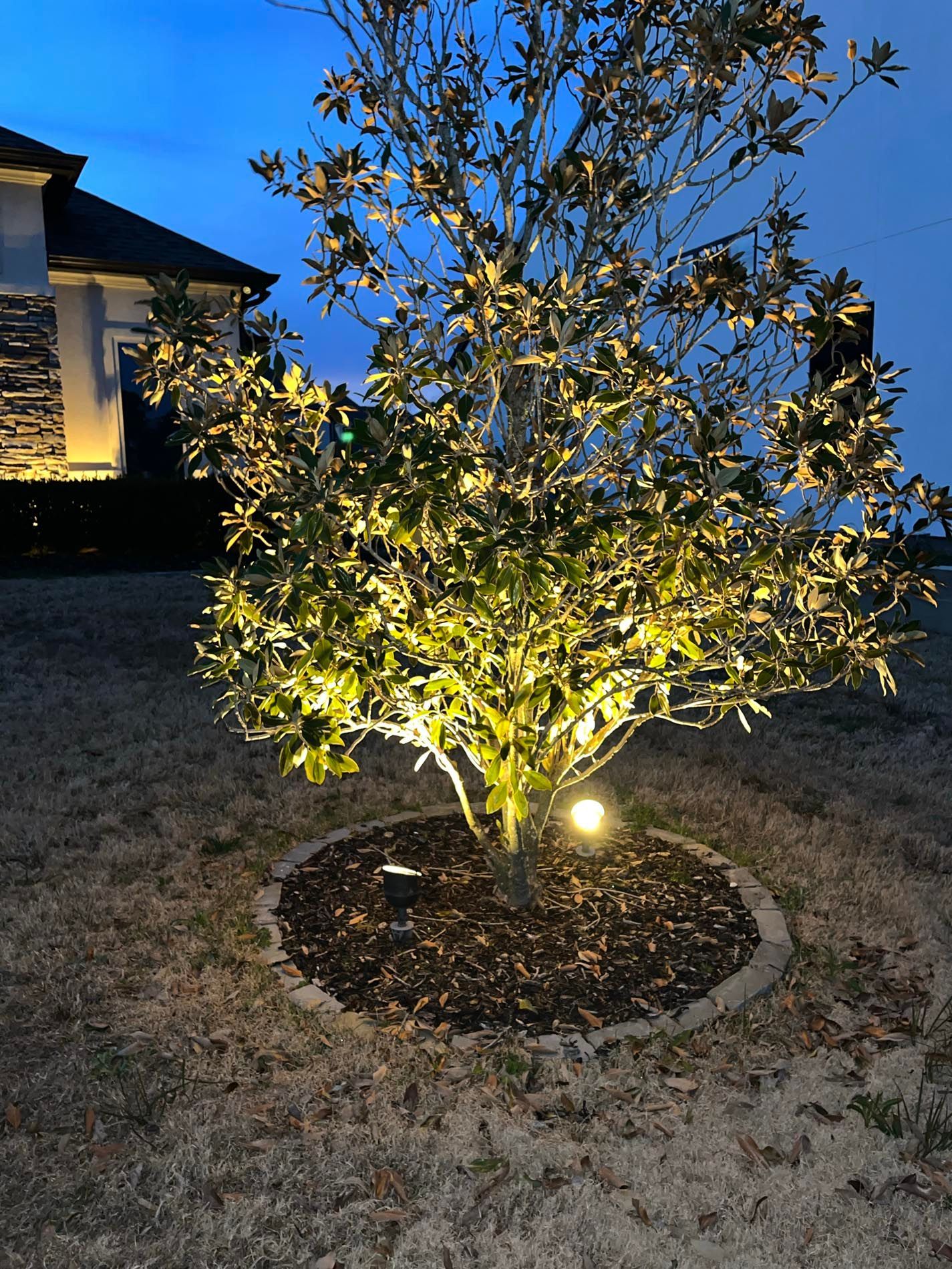 A tree is lit up at night in front of a house.