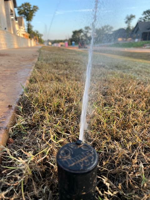 A close up of a sprinkler spraying water on a lawn.