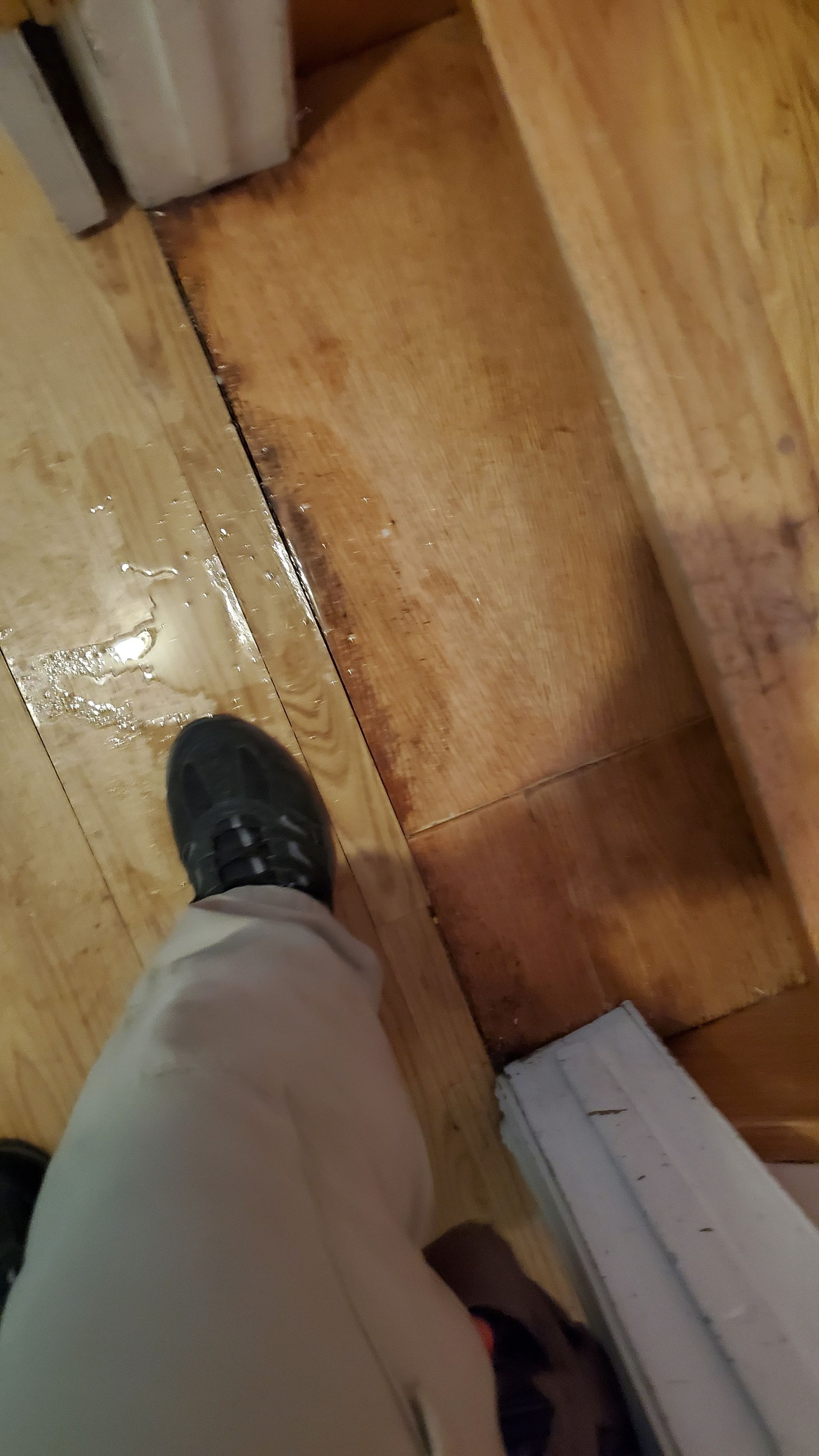 A person is standing on a wooden floor next to a door.