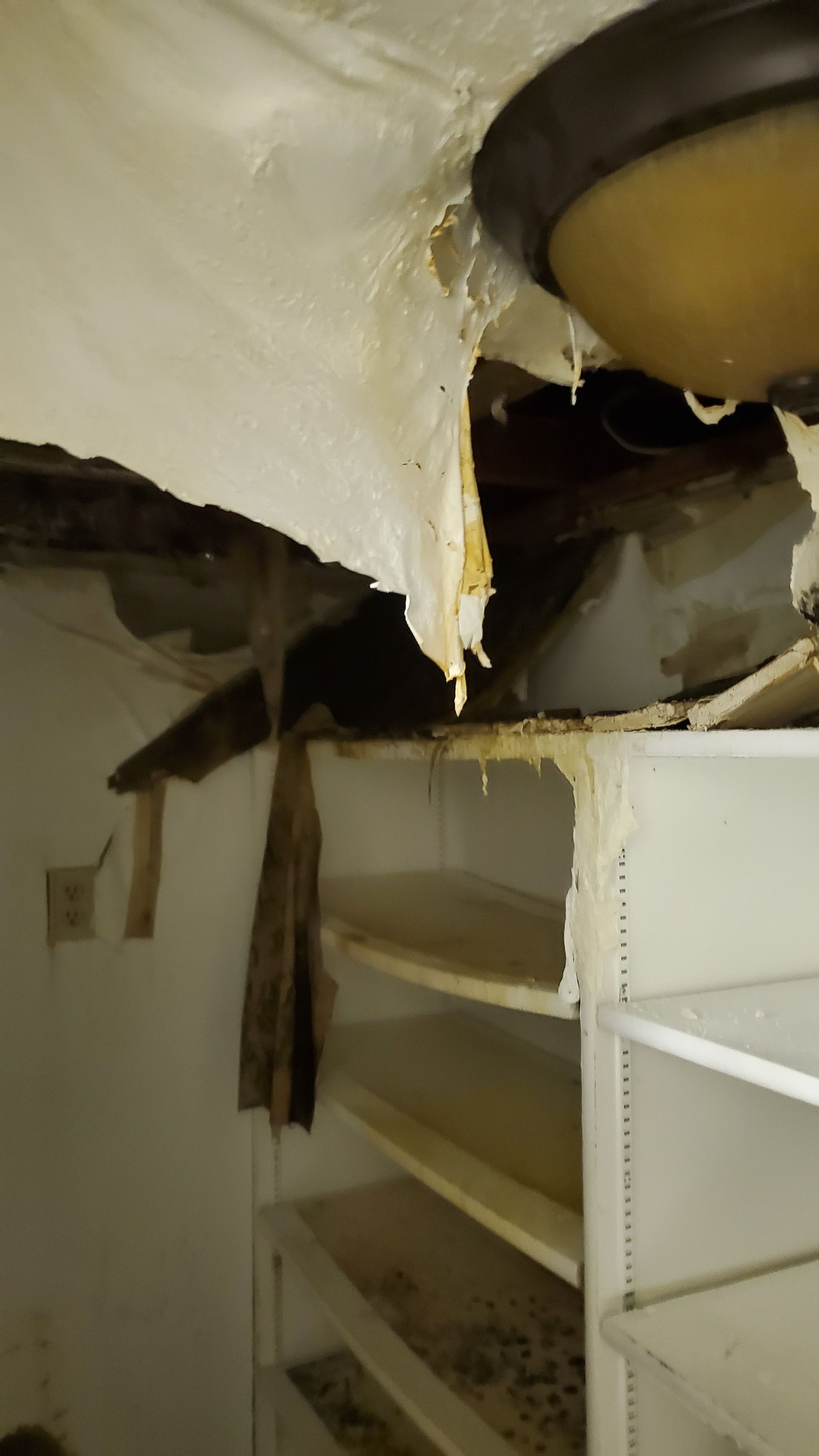 A ceiling light is hanging from the ceiling in a room with shelves.
