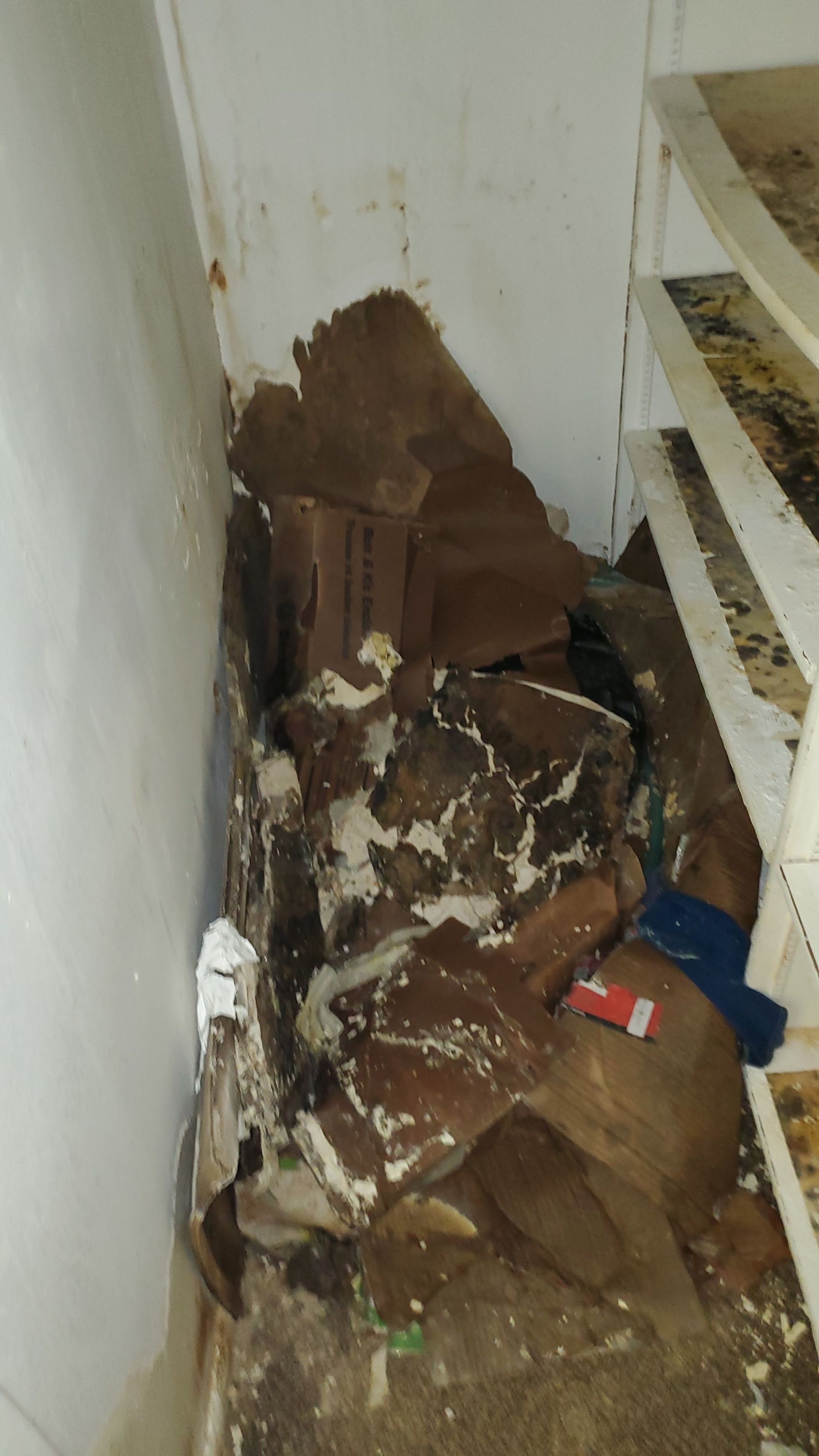 A room with a lot of trash on the floor.