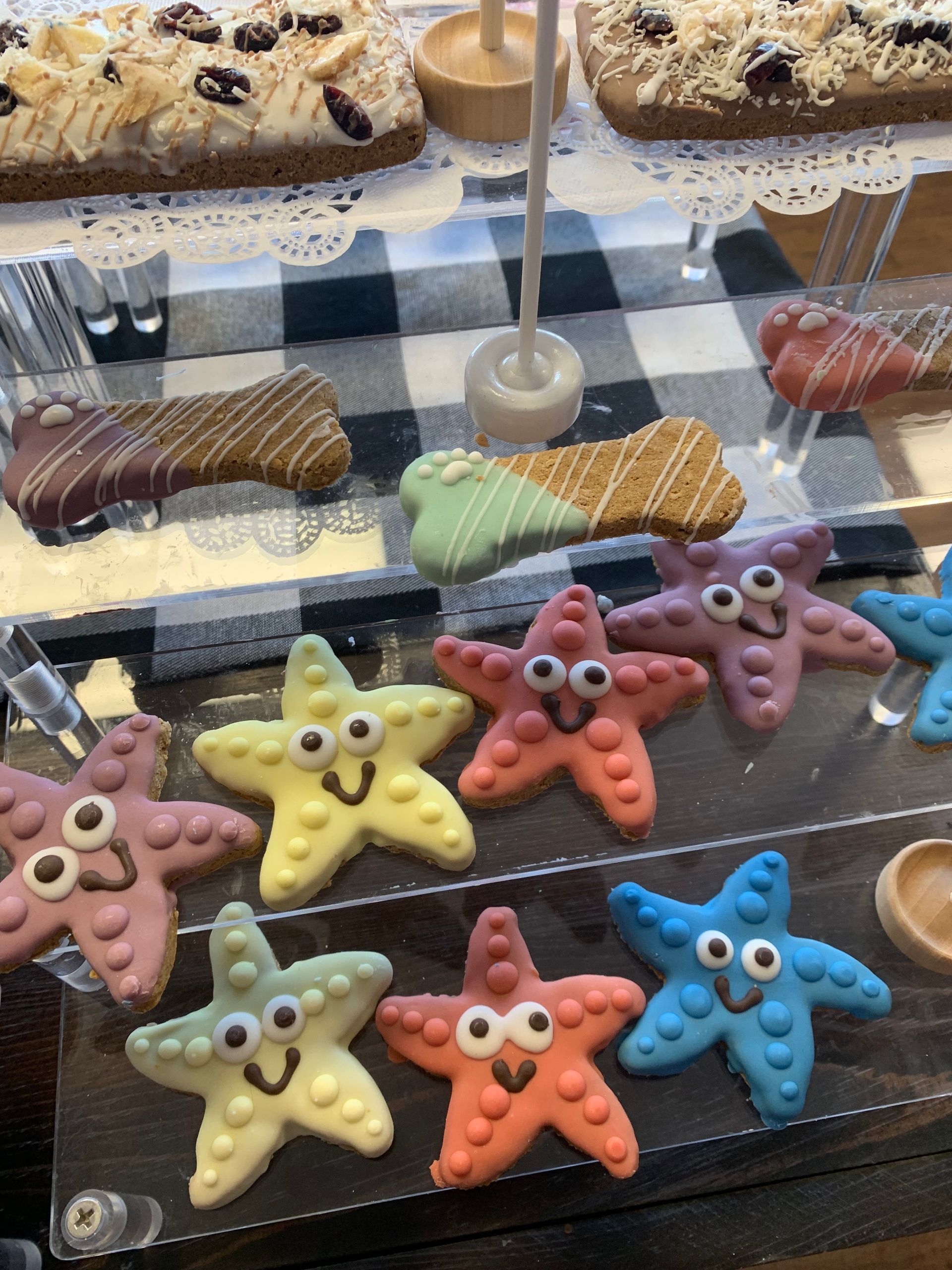 A display of starfish shaped cookies with googly eyes