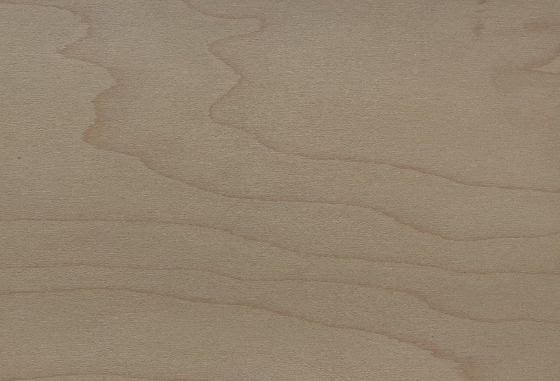 Select Maple - Ten Tree