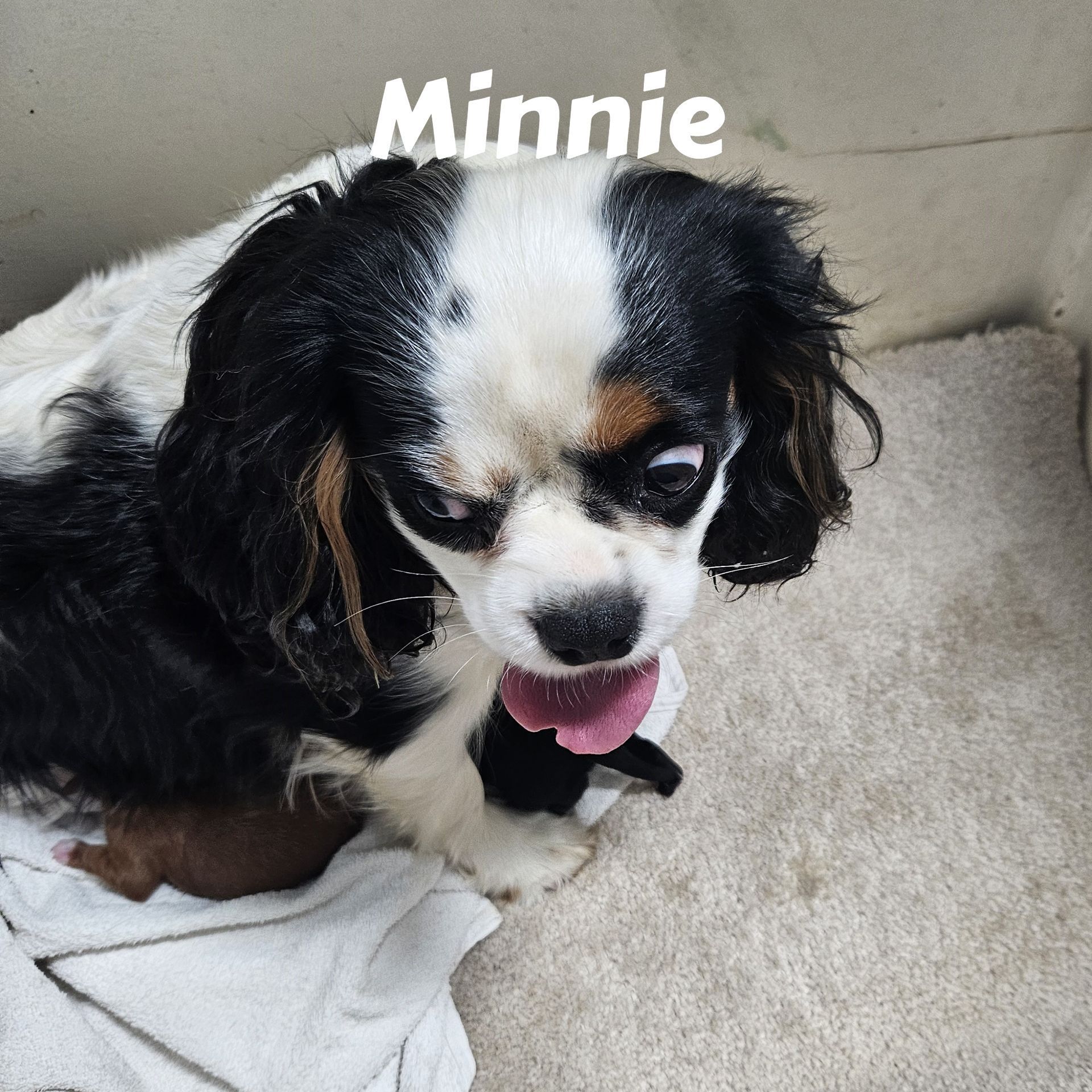 Mum