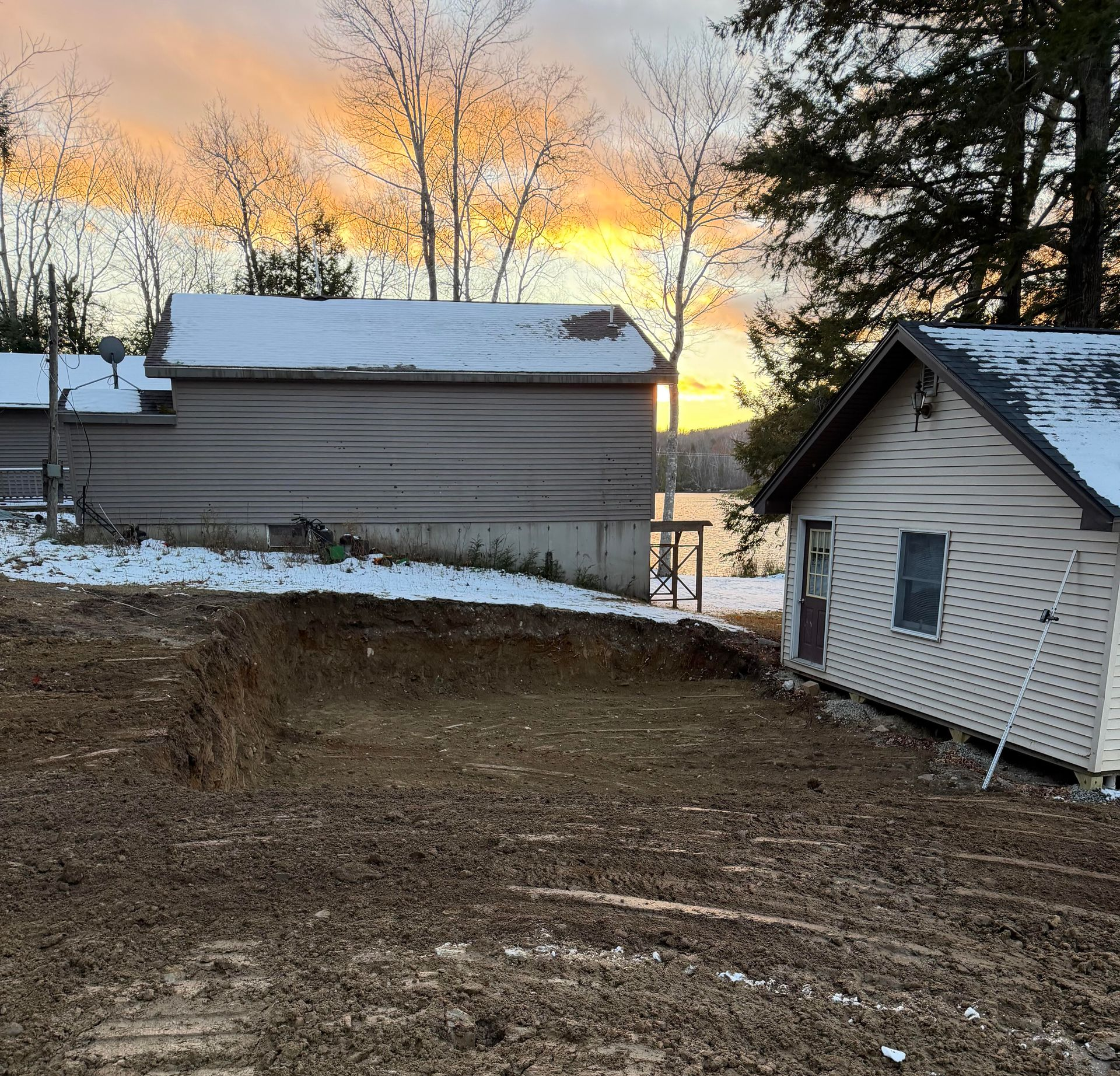 A forest clearing with tree stumps, scattered woody debris, and standing pine trees in the background.