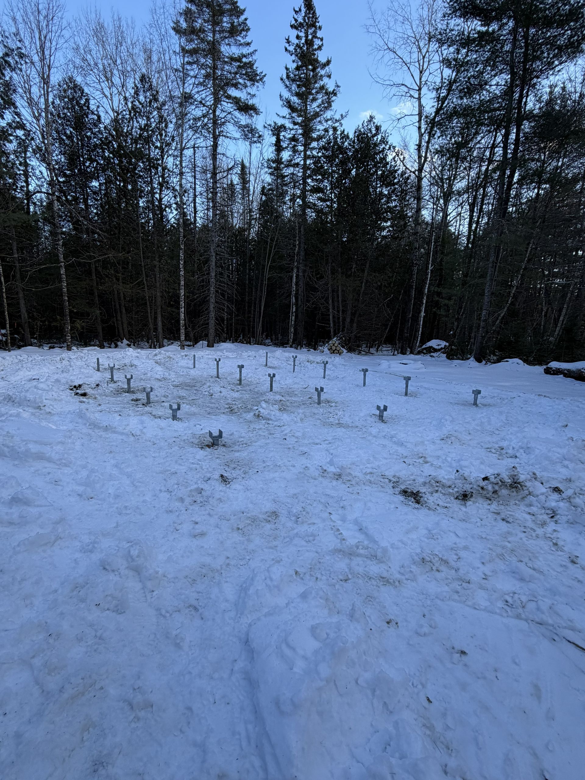 A grid of metal foundation screw piles installed in a snow-covered clearing in front of a forest.