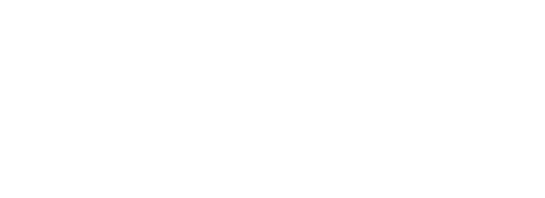 DS Tours LLC  logo
