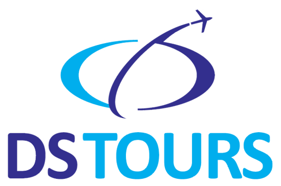 DS Tours LLC  logo