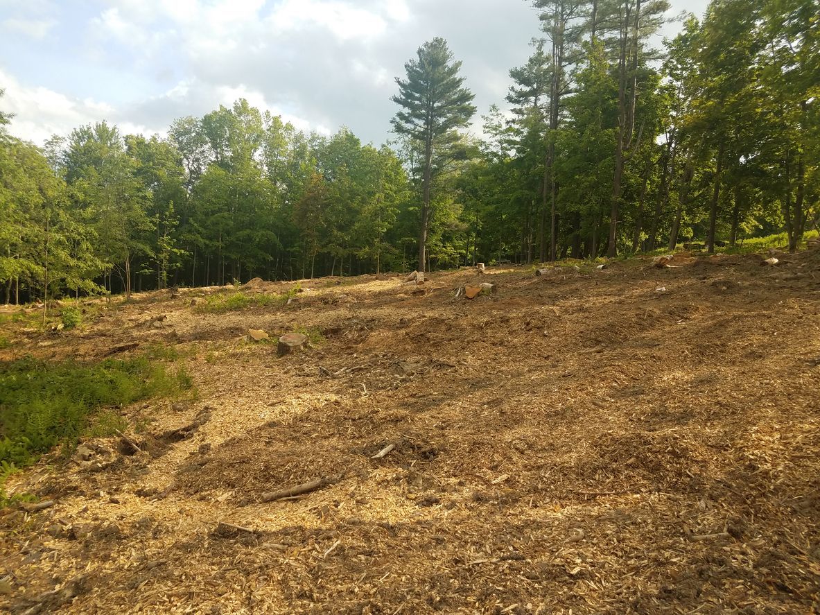 Cleared brown field with tree line under a partly cloudy sky