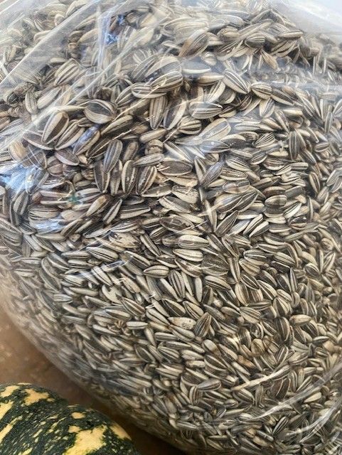 A Bag Of Sunflower Seeds Is Sitting On A Table Next To A Pumpkin  — Edmonds Landscaping Supplies in Bohle Plains, QLD