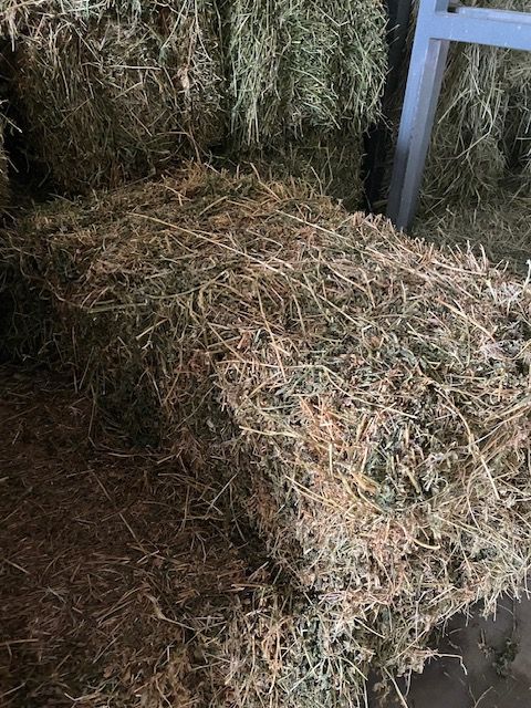 A bunch of hay bales stacked on top of each other in a barn — Edmonds Landscaping Supplies in Bohle Plains, QLD