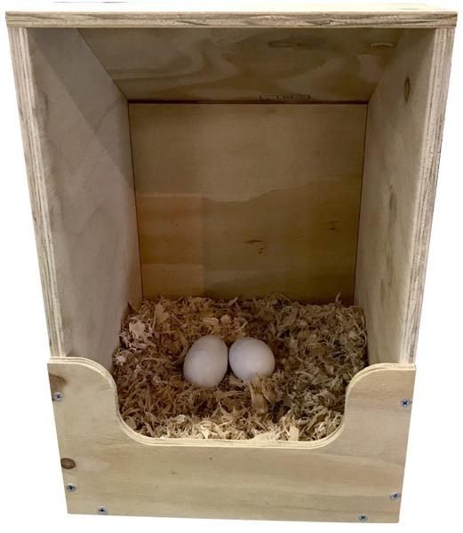 Two Eggs Are Sitting in A Wooden Box — Edmonds Landscaping Supplies in Bohle Plains, QLD