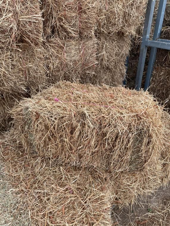 Square Mulch — Edmonds Landscaping Supplies in Bohle Plains, QLD