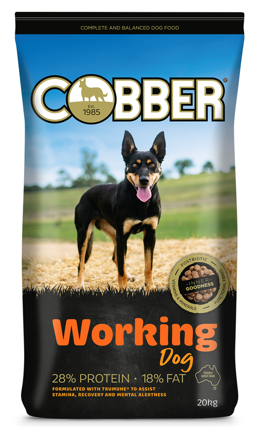 Cobber Working Dog - Edmonds Landscaping Supplies in Bohle Plains, QLD