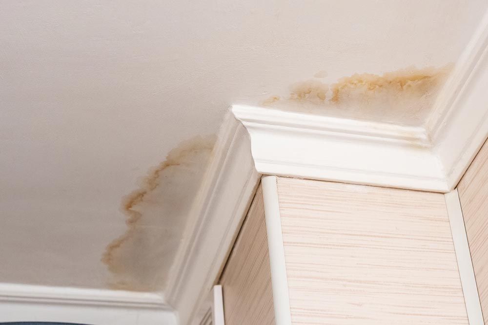 A Ceiling With Water Stains On It And A Corner Of A Wall — Gold Coast Leak Detection In Mudgeeraba, QLD