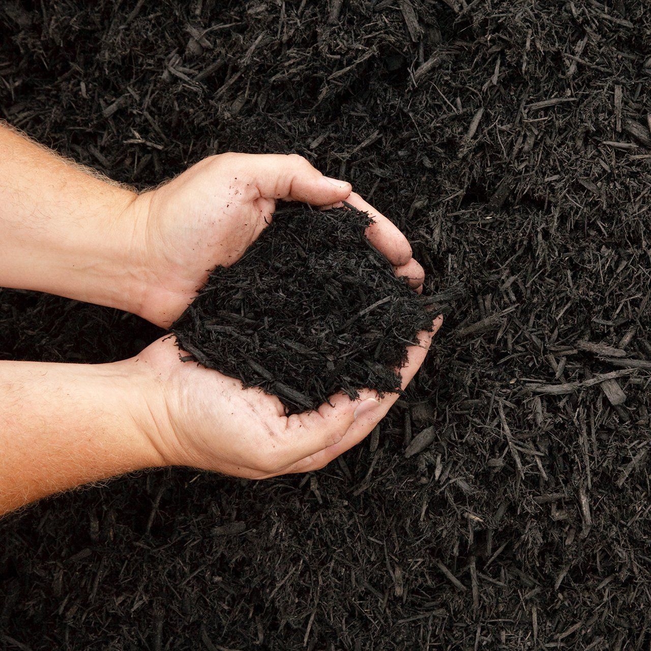 Soil in hands — Melbourne, FL — Simply Organic Lawn and Garden Center