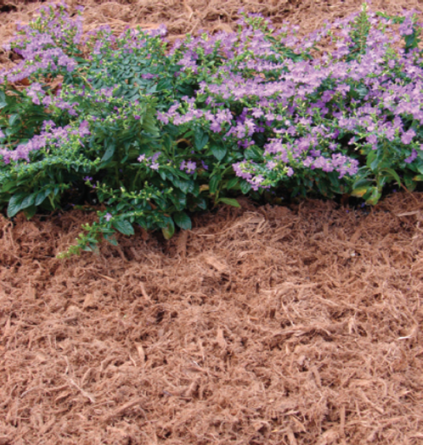 Cypress gold mulch — Melbourne, FL — Simply Organic Lawn and Garden Center