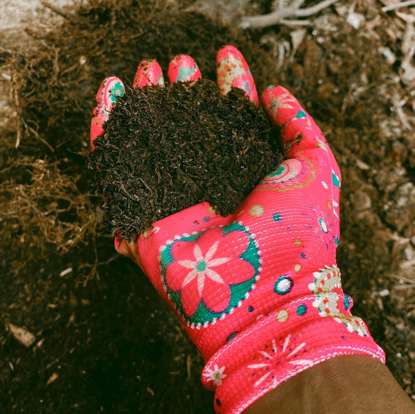 Compost in hands — Melbourne, FL — Simply Organic Lawn and Garden Center