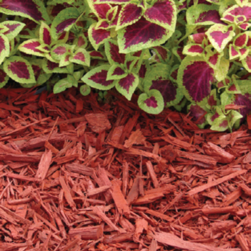 Premium red mulch — Melbourne, FL — Simply Organic Lawn and Garden Center