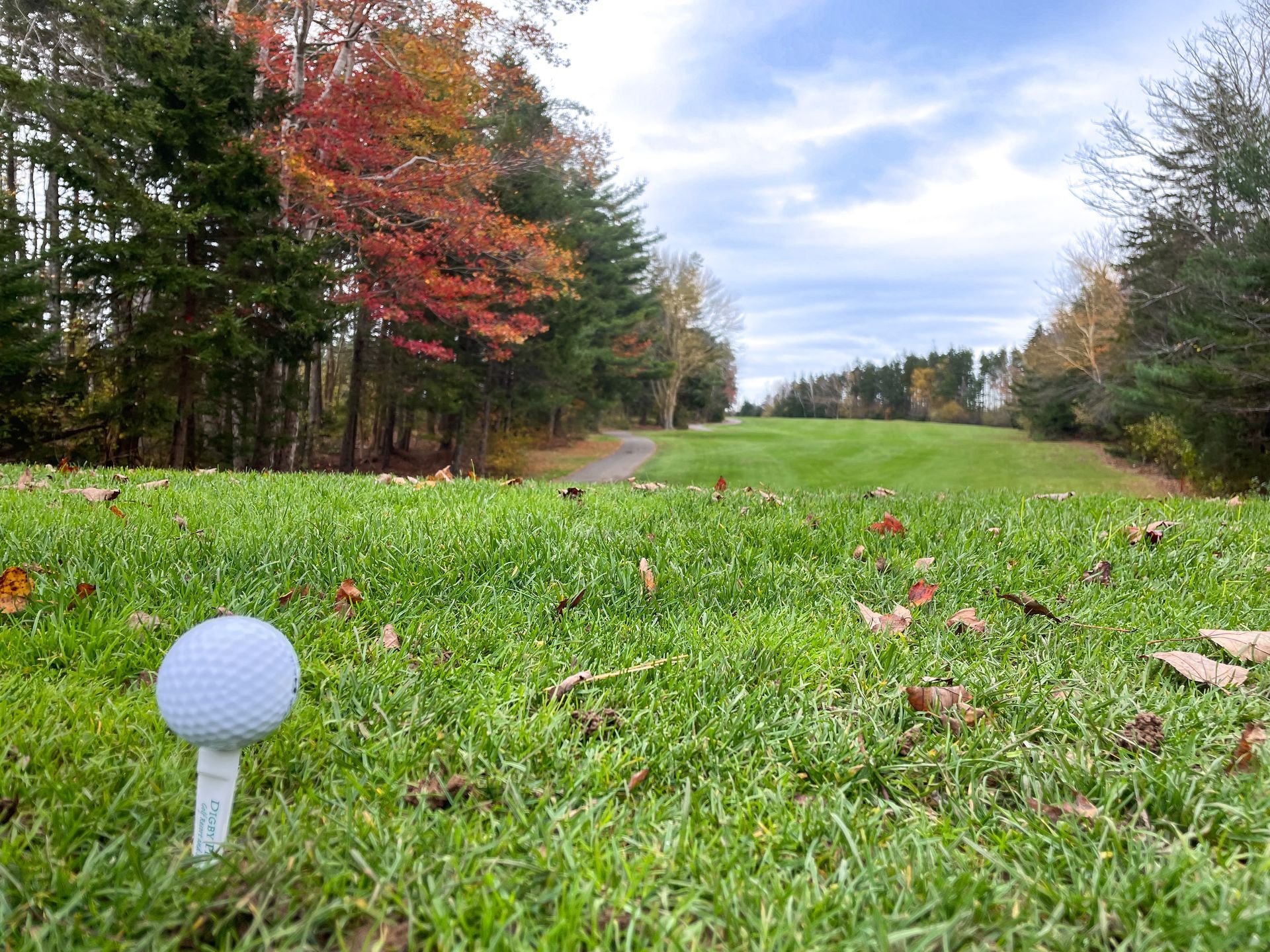 Red golf cart on green grass, fall trees with orange leaves under a cloudy sky.