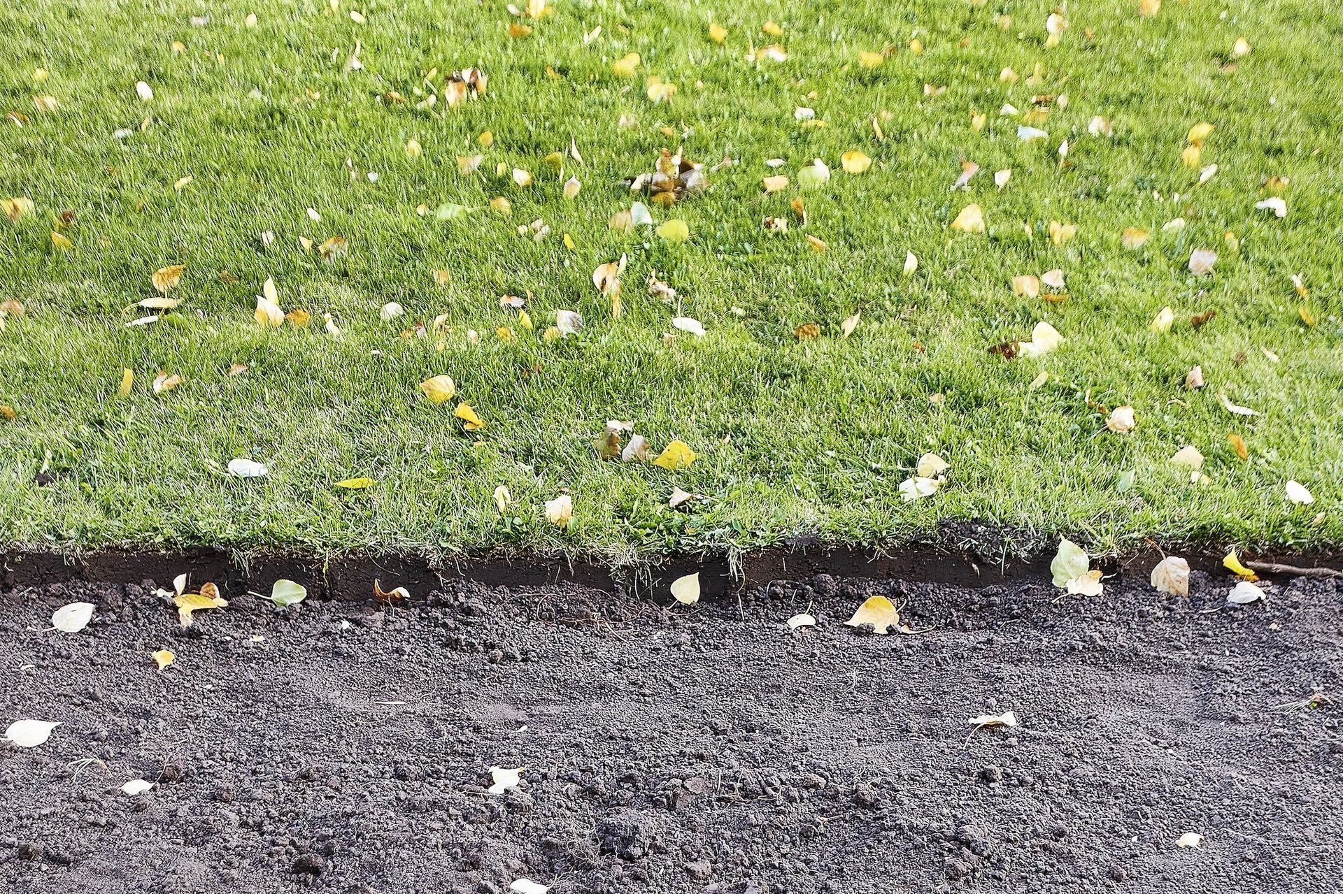 A person is laying a roll of grass on the ground.