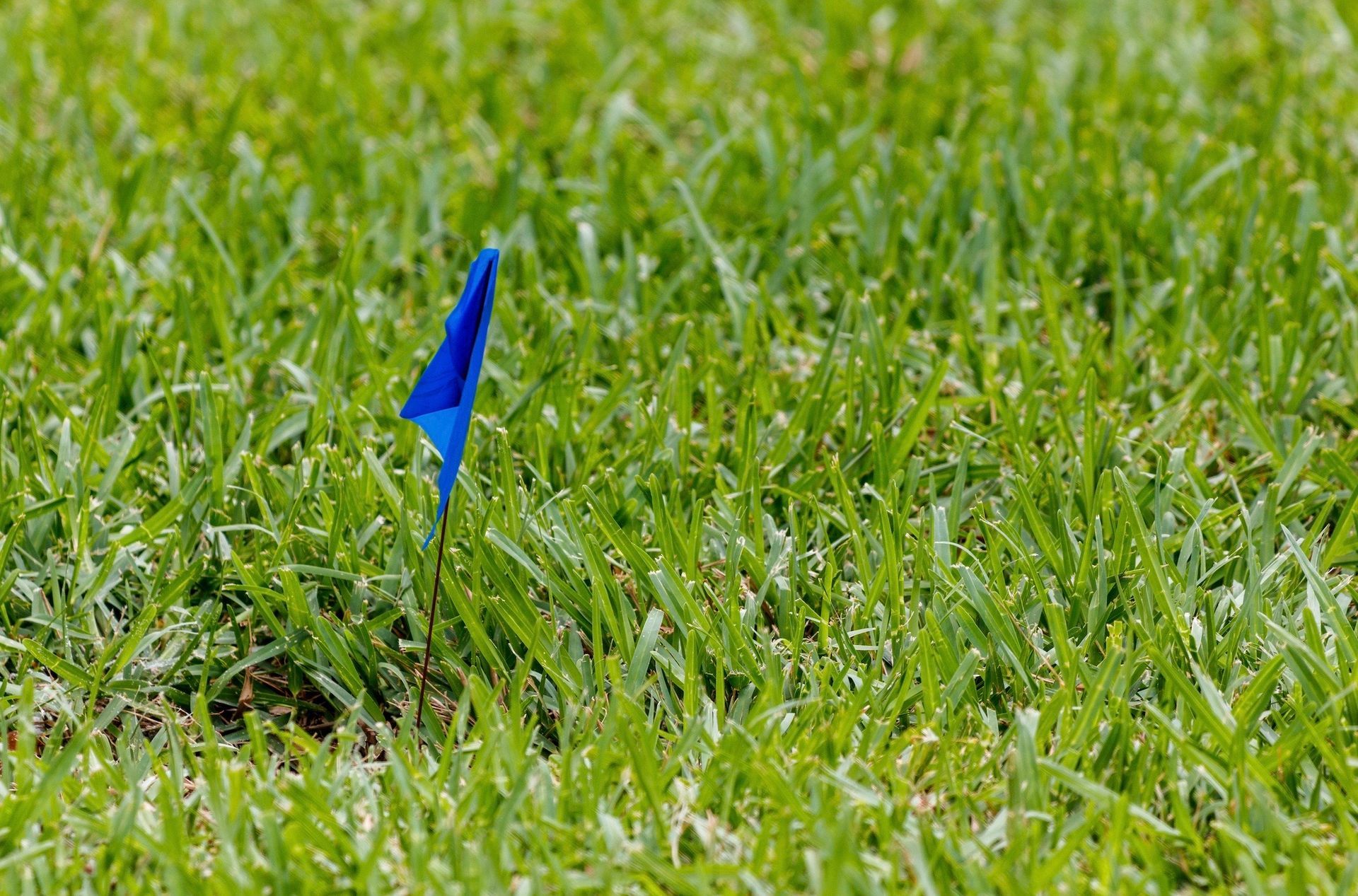A person is laying a roll of grass on the ground.