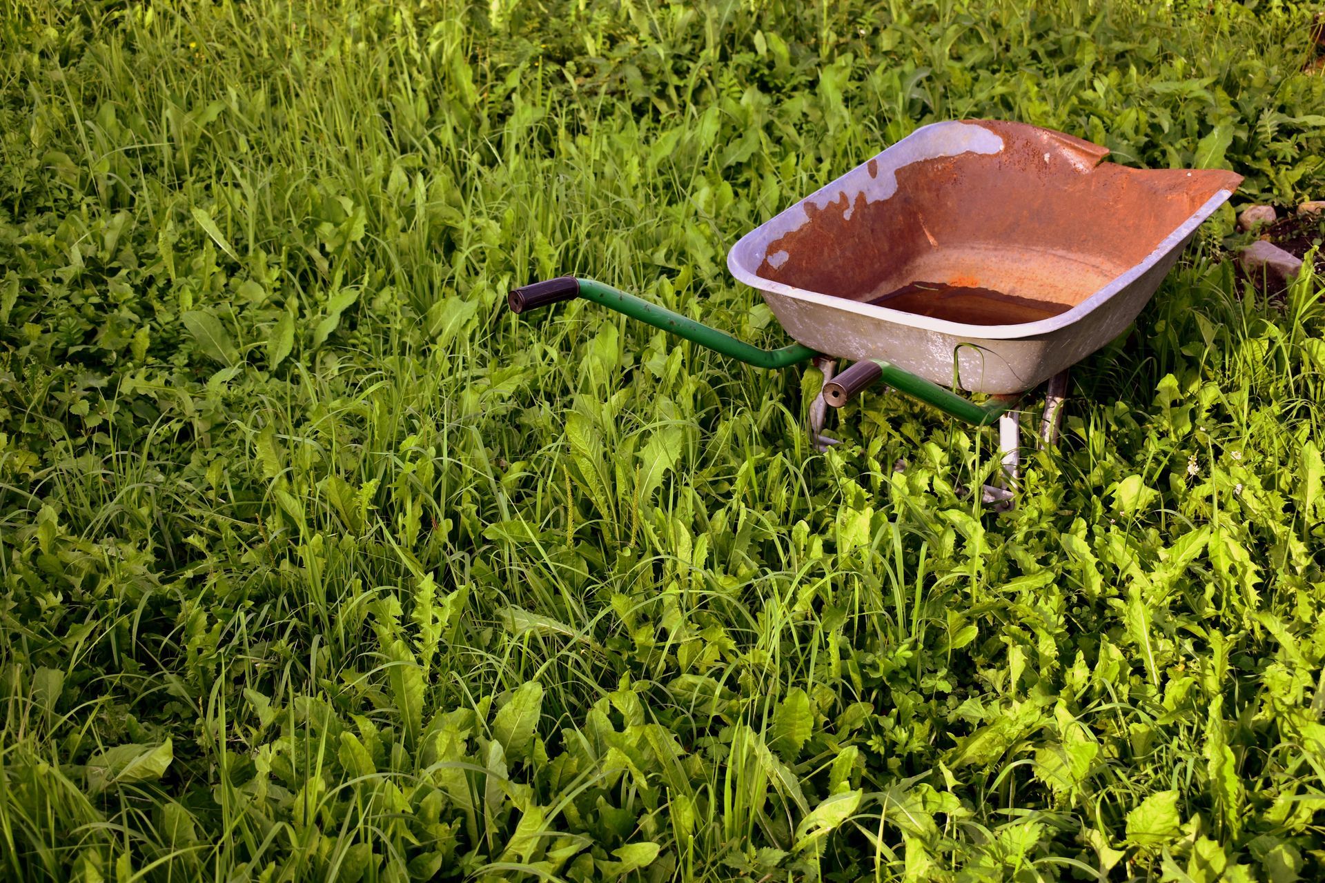 A person wearing gloves is rolling a roll of grass.