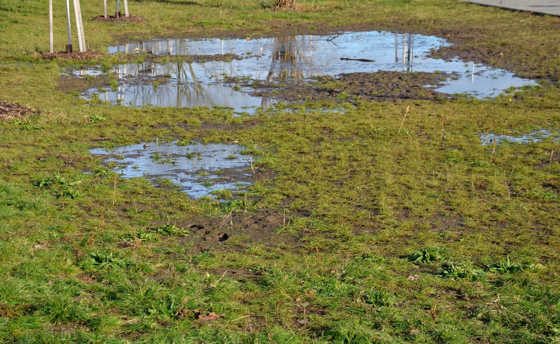 A muddy puddle in the middle of a grassy field.